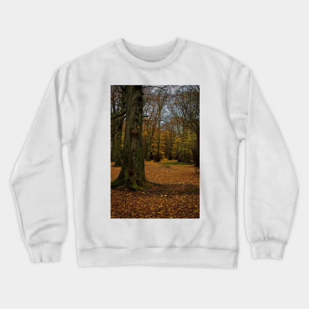 Autumn woodland walk Crewneck Sweatshirt by Violaman